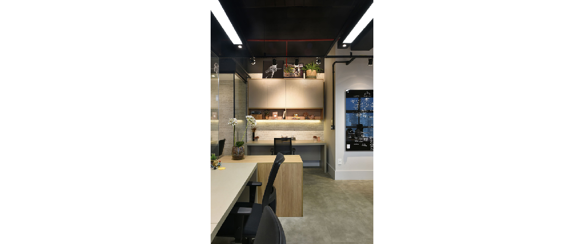 2020 - Insight Gestão