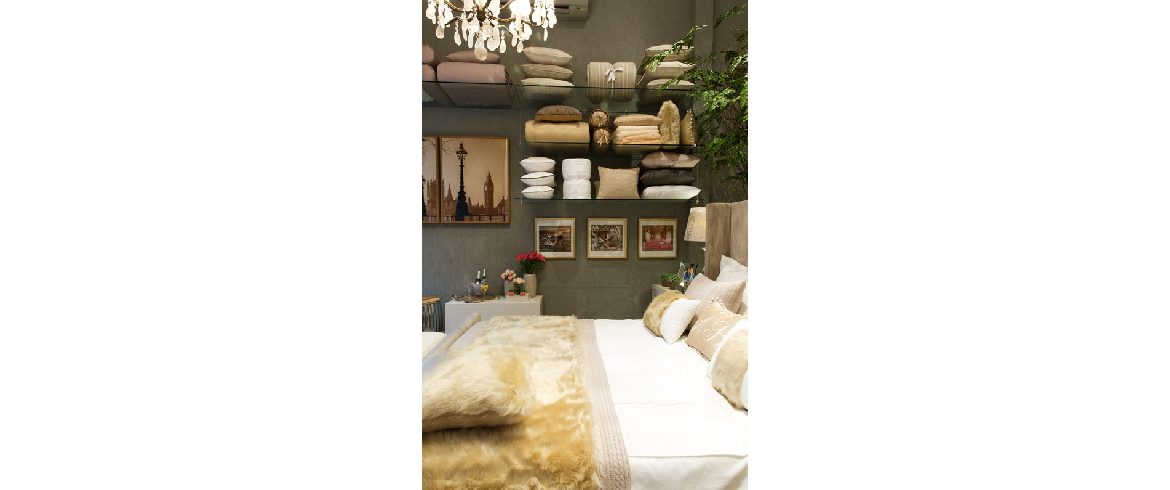 2017 - Charada Conceito