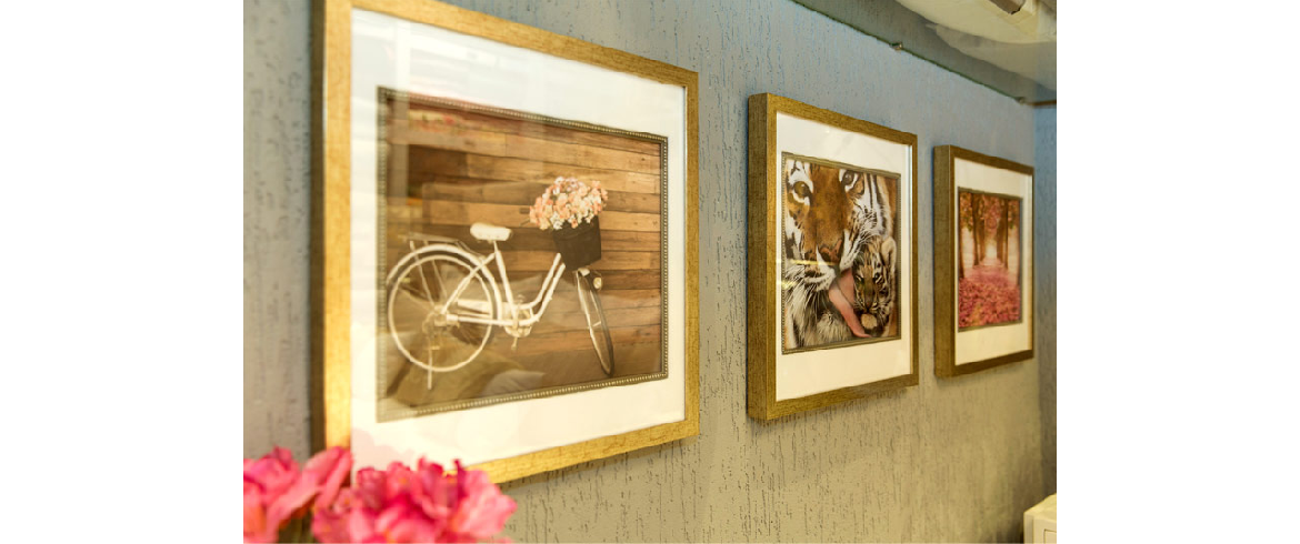 2017 - Charada Conceito