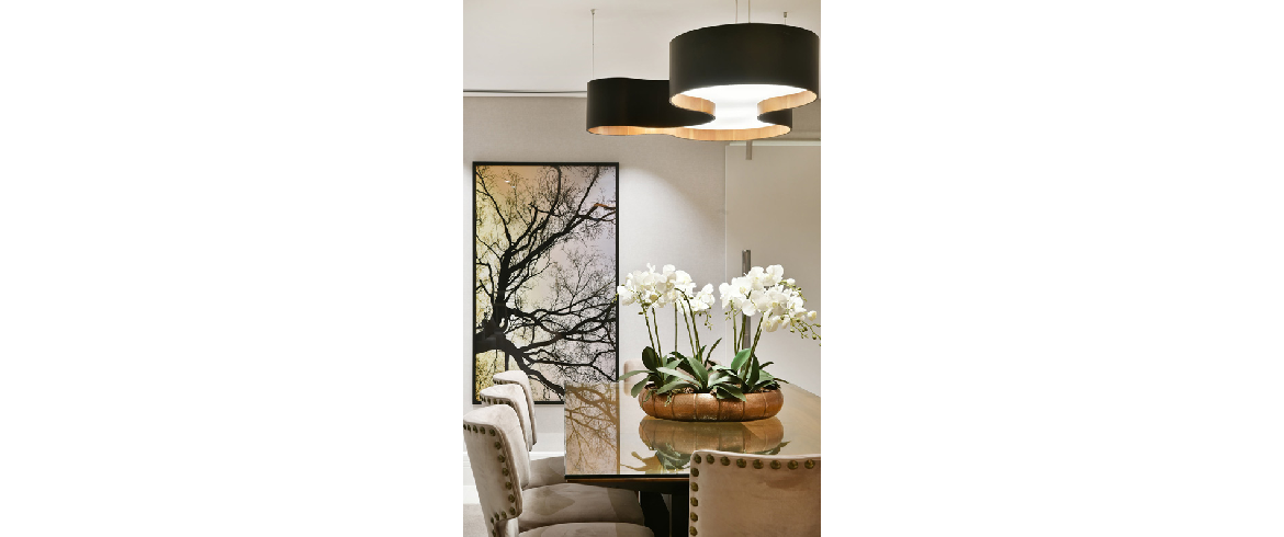 2019 - Bosque da Saúde