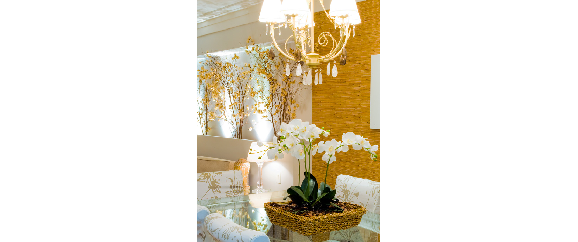 2011 - Vila Leopoldina